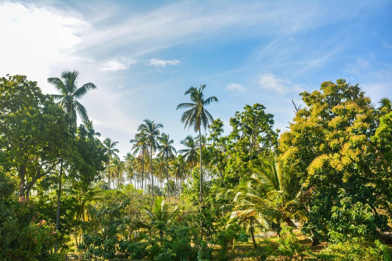 Janu Homestay Tangalle Exterior foto
